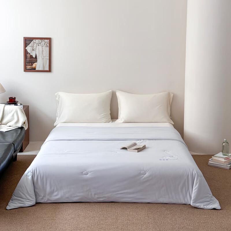 

Southern Living Pearl Protein Washed Summer Quilt