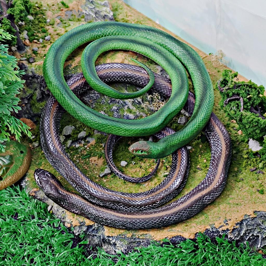 Wild Reptile Snake Model For Kids Educational Collectible Pvc Decor Toy