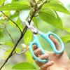 Professional Pruning Shears Stainless Steel Garden Scissors Heavy Duty Plant Trimmer for Flowers, Branches, Fruit Picking and Gardening