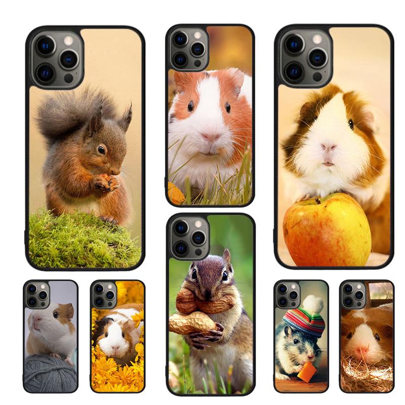 squirrel Guinea Pig Mouse Phone Case For IPhone 18 17 Air 16 15 14 11 12 13 Pro MAX Plus coque Cover Shell