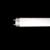 Hf Fluorescent Lamp 1 Piece/Panasonic FHF32EX-D-HF2D (Palook Day)