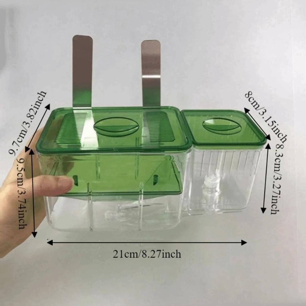 Transparent Fish Tank Hatchery Slotted Design Breeding Isolation Box  Isolation