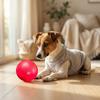 Dog Chew Ball Food-Grade Bite-Resistant Small Medium Dogs Toy for 7.5cm Spherical Shape Teeth-Cleaning Toy
