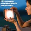 Hand Crank Tent Light Rechargeable Mini Flashlight with Stand Camping Lamp for Outdoor Emergency Lamp