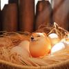 Dog Squishy Egg Toys !   Shibako Egg Shiba Inu Egg Slow Rising Squishy - Dog Egg Toy Stress Relief - Dog Eggs Decompression Toy