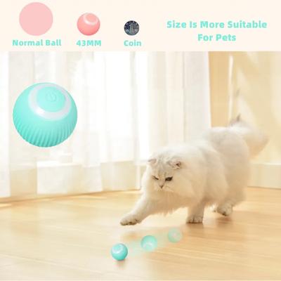 Kedi – Kedi Oyuncakları