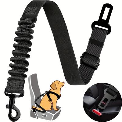 Köpek – Köpek Tasmaları ve Tasma Kayışları