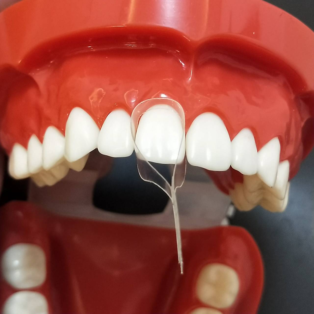 MATRICI A NASTRO - LC Medical Srls - Foto 2