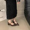 Versatile Spring Evening New Shoes Small Thick Heel Mary Jane Single Shoes Women's Head Retro High Heels