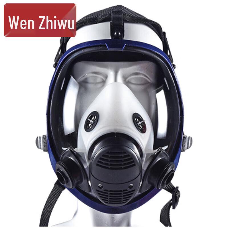 Wenzhiwu CF01 Spherical Full Face Respirator