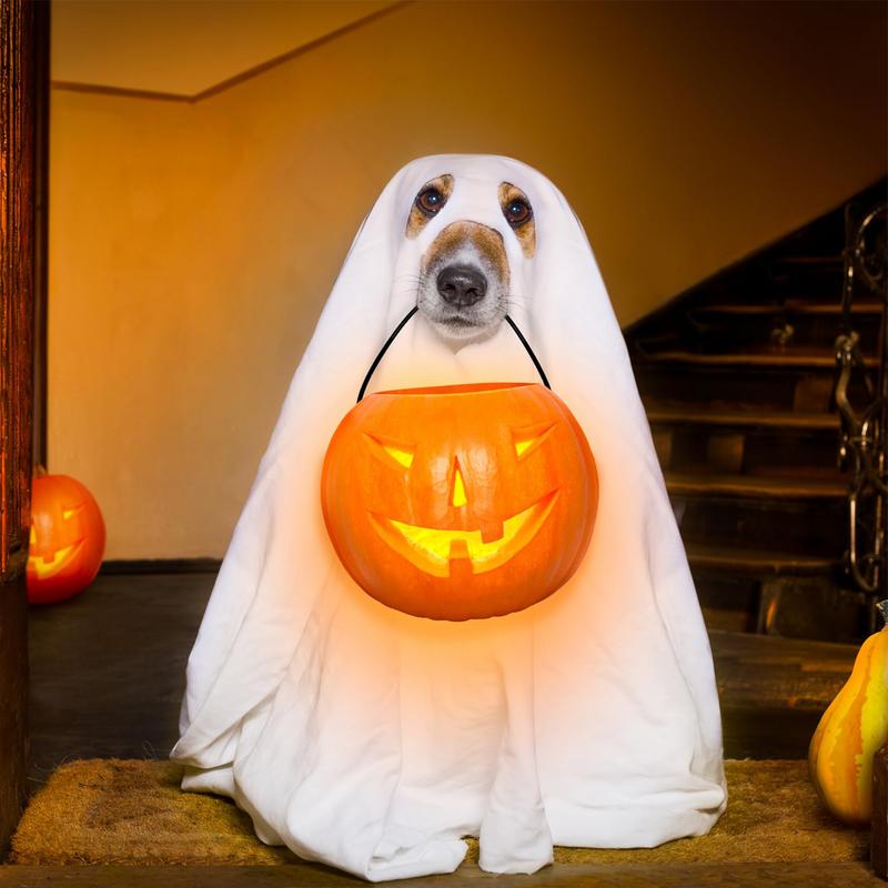 Halloween Ghost Pet Cloak Grab Attention Dog Cosplay Costume Comfortable To Wear Halloween Ghost Pet Cloak for Parties Photo