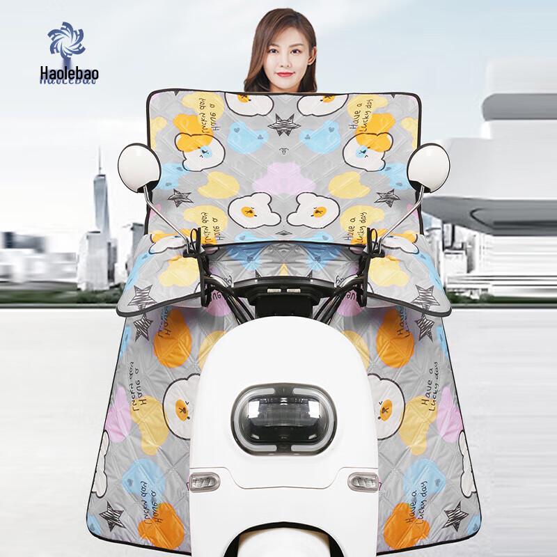 Haolebao Electric Scooter Weather Protection Cover One Size