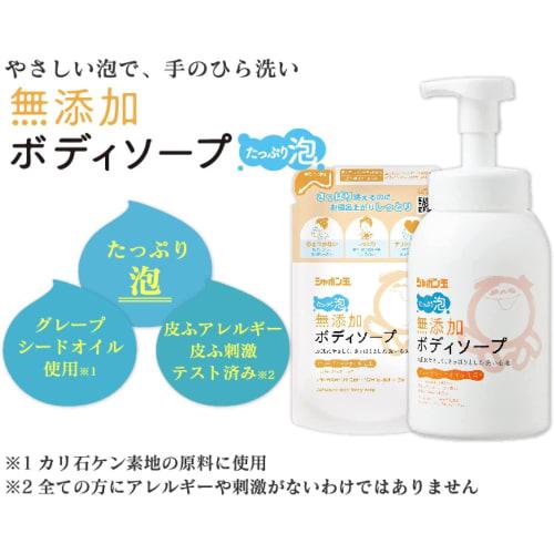 Additive-free Body Soap with Soap Bubbles, Plenty of Foam, 570mL, Easy To Wash Your Hands