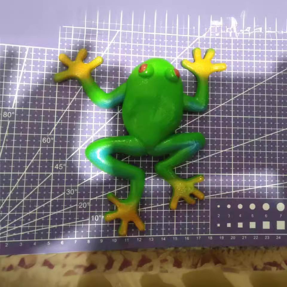 Realistic Frog Toy with Beads – Durable, Squeezable, and Perfect for Teaching Aid