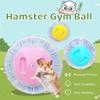 Transparent Plastic Hamster Mouse Rodent Gym Ball Run Fitness Exercise Toy Pet