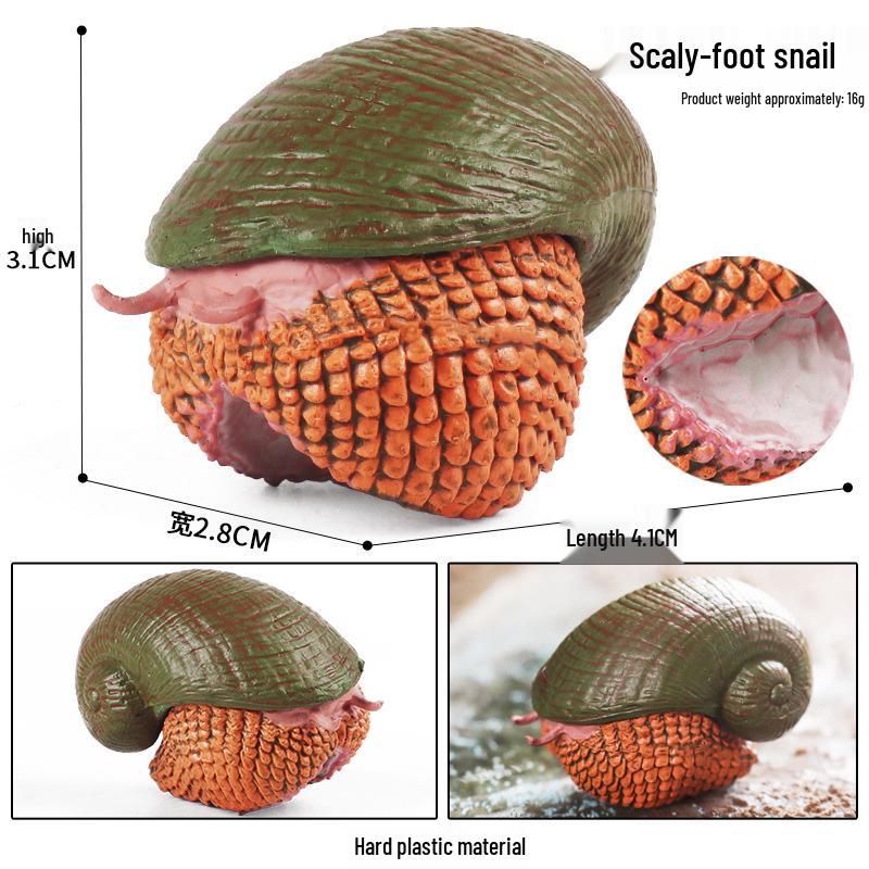 Realistic Deep-Sea Snail Model for Kids Marine Education