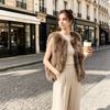 New Autumn and Winter Imitation Fur Vest Women's Short Vest Vest Imitation Fox Hair Plush Internet Celebrity Vest Jacket