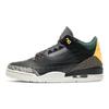 Air Jordan 3 Retro SE Animal Instinct 2.0 Unisex Sneakers Black White Gorge-Green CV3583-003