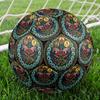Insect Life Cycle Round Football Size 5 Adult Ball Suitable for Training Matches and Outdoor Team.