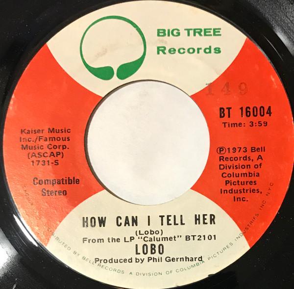 

7inch Record LOBO - How Can I Tell Her BT16004 Big Tree Record 1973 US Rock Used