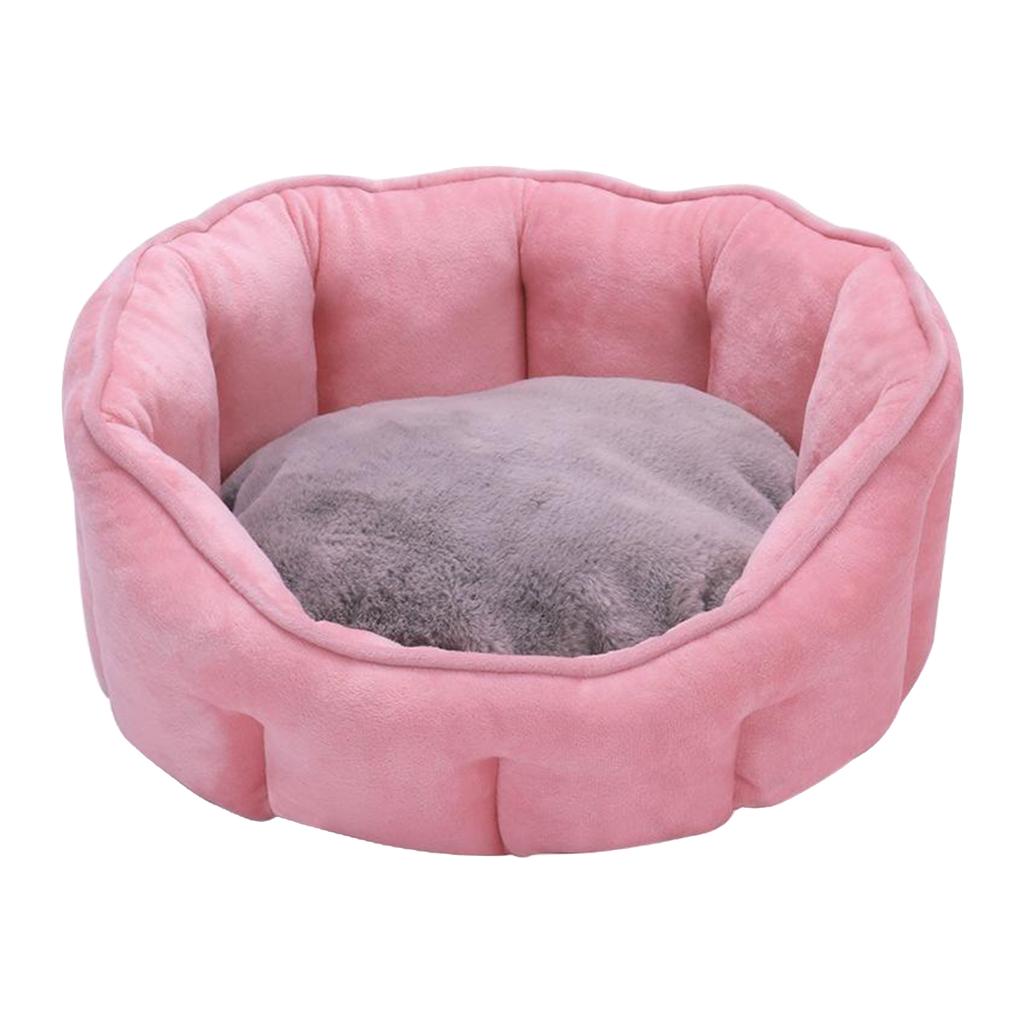 petsmart elevated dog bed