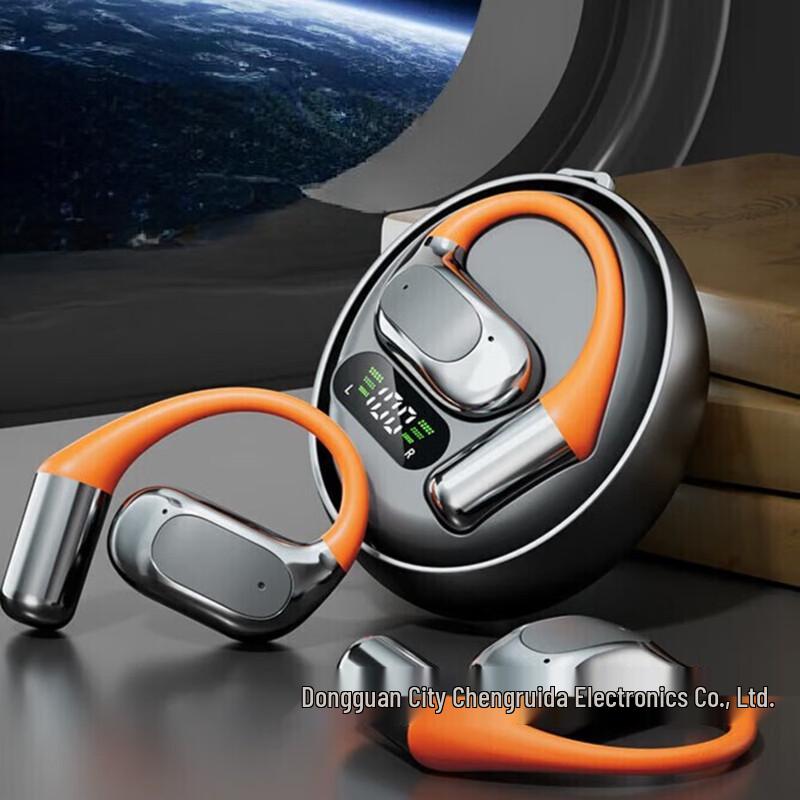 ERXUNGAI Translation Bluetooth Earphones