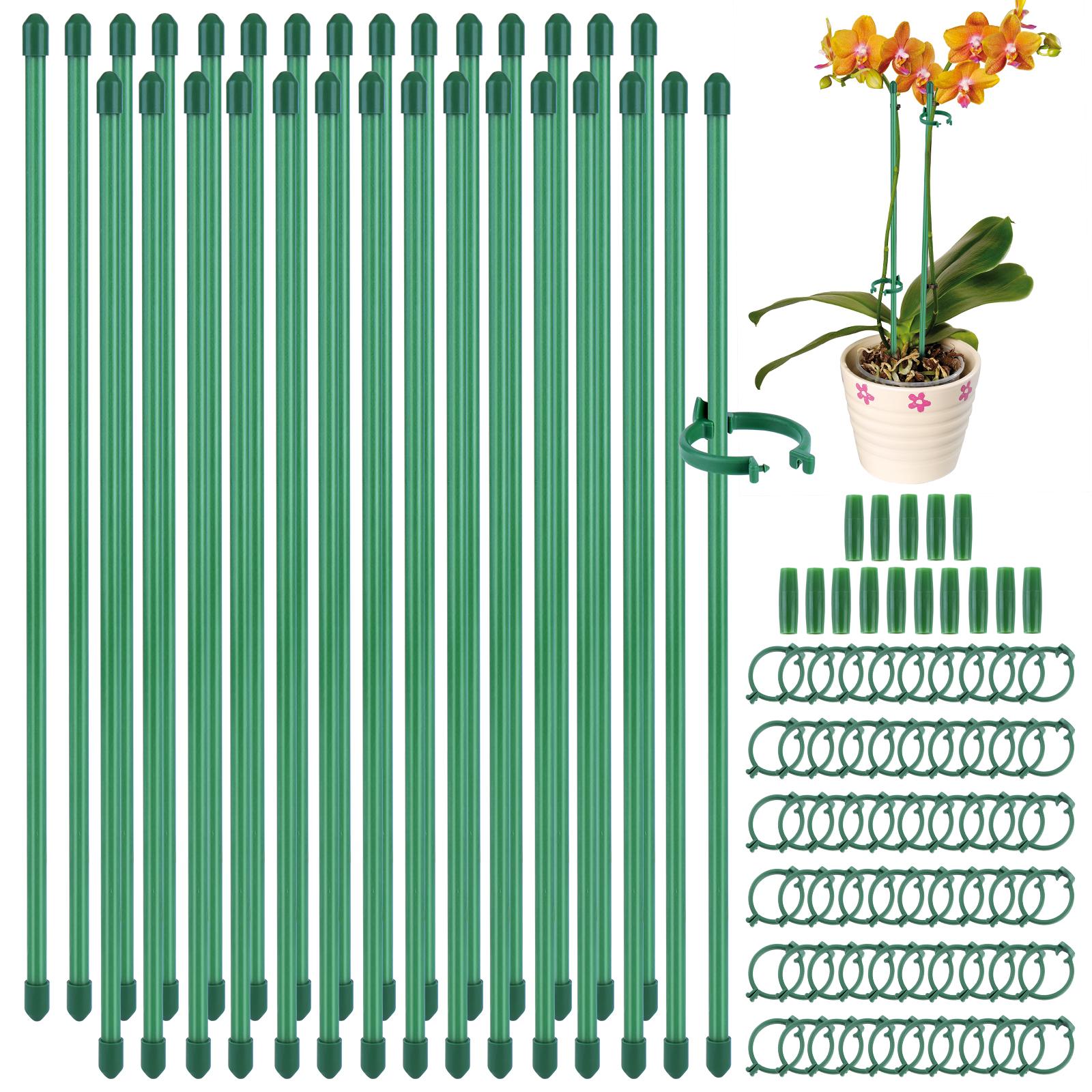30Pcs Adjustable Plant Support Indoor Plant Sticks Support with Clips & Connectors Aquatic Plant Support for Indoor Plants UNITED KINGDOM