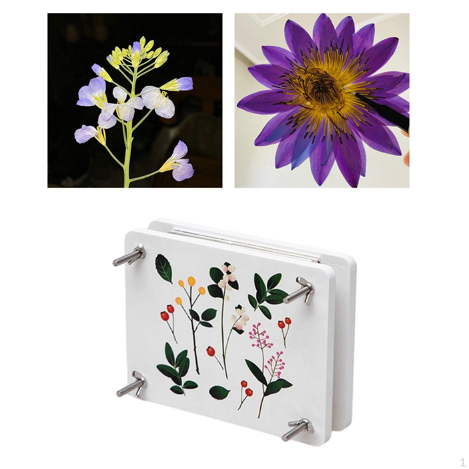 

Пресс-цветочный набор, инструмент для тиснения прессованных цветов «сделай сам», 21 см x 16 см, прессование