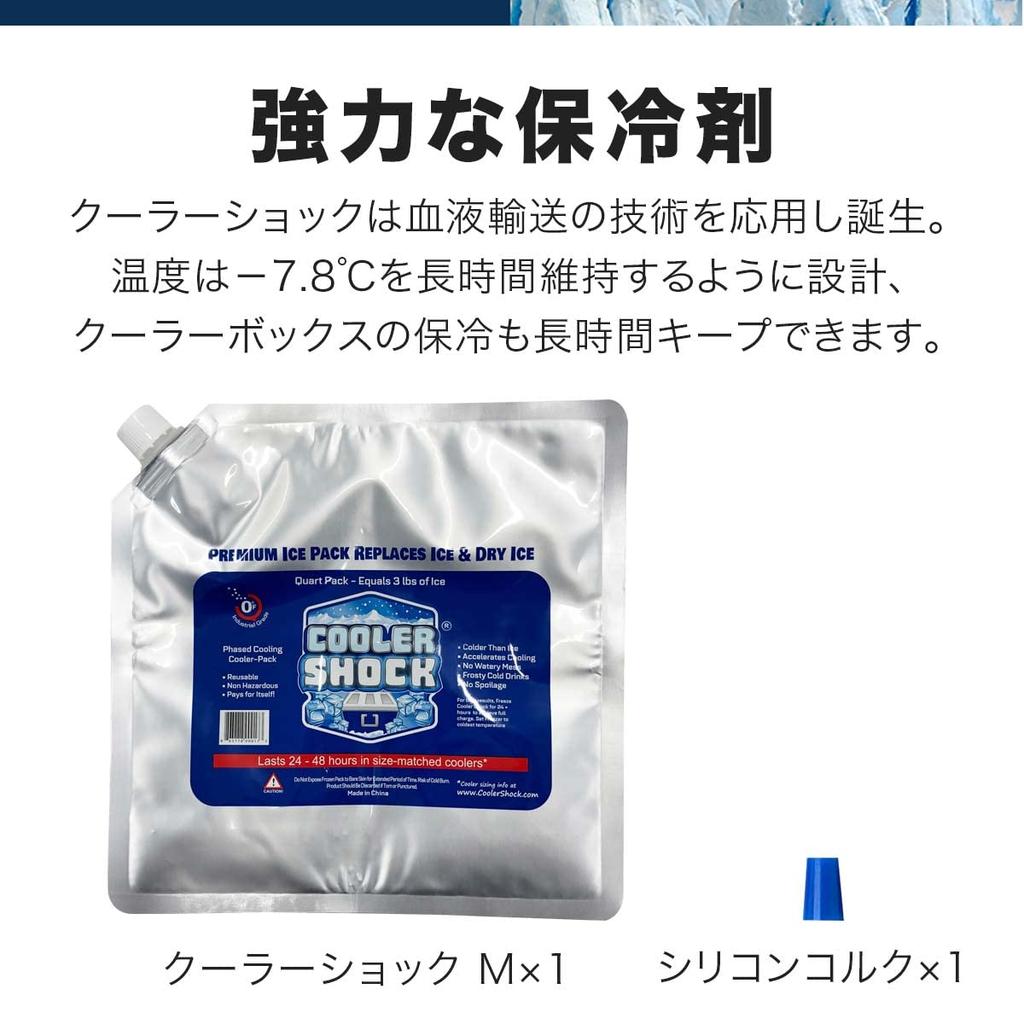 Tsuda Shokai COOLER SHOCK Ice Pack [Medium SizeSingle Item] Long-Lasting, Powerful Cooling, Colder Than Ice (-7.8°C), Reusable, Perfect for Camping,