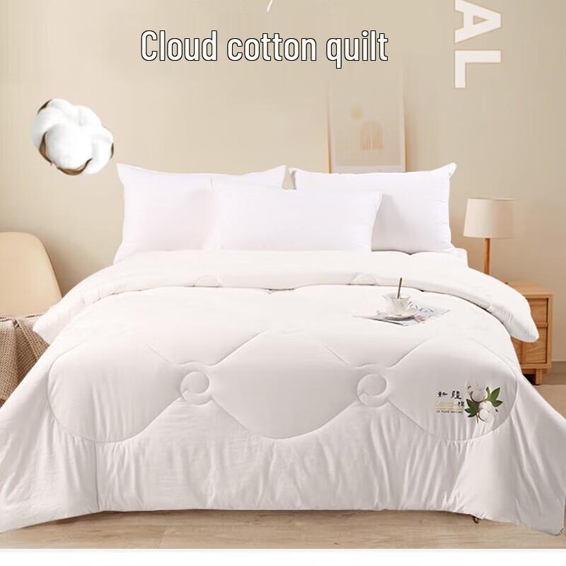 Shengfuni Summer Polyester Fiber Quilt