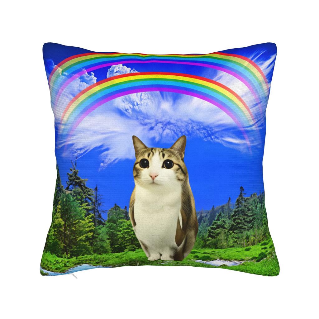 Regenbogen Miau Eule Kissenbezüge Süß Lustig Kissenbezug Für Wohnzimmer Bett Stuhl Benutzerdefinierte Kissenhülle