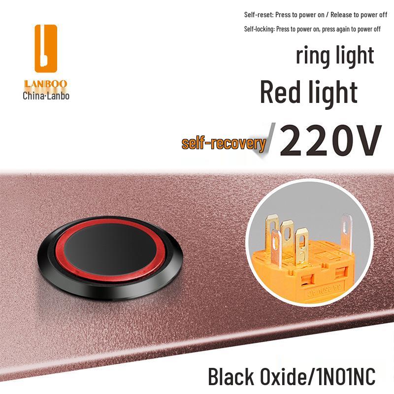 Lanbo 22A Stainless Steel Illuminated Self-Locking Momentary Push Button Elevator Switch