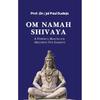 Om Namah Shivaya : Un Potente Mantra per Padroneggiare i Cinque Elementi