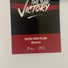 [USED] Official Stray Kids SKZOO Mini