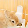 Wall Mounted Rabbit Food Bowl Bite Resistant Guinea Pigs Feeding Bowl  Cage Mount