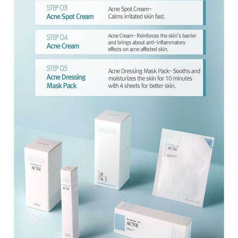 Pyunkang Yul Akne-Gesichtsreiniger 120 ml