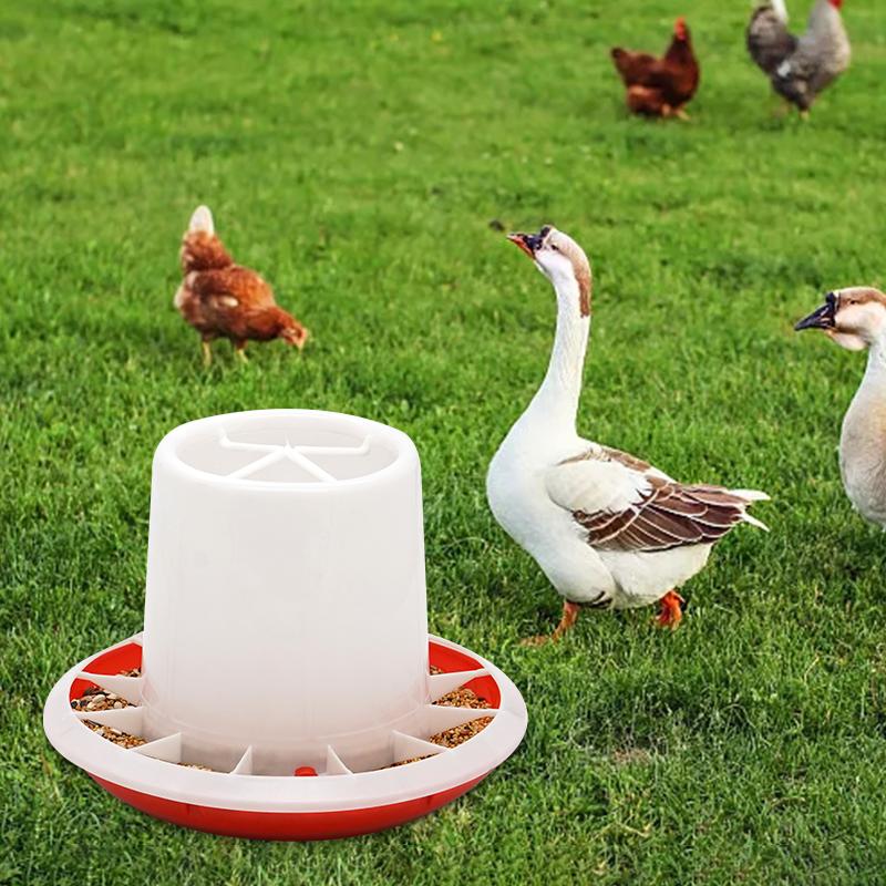 Chick Feeder Waterer Chicken Feeder Chicken Waterer Small Birds Poultry Feeding Equipment Kit