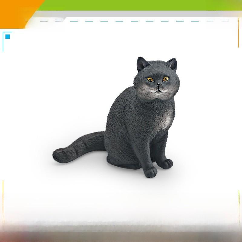 Ragdoll Katze Somali Katze Figur Für Kinder PVC Tier Modell Katze Zum Lernen Spielen
