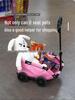 Pet Small Dog Lightweight Foldable Stroller and Pull Cart