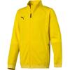 Puma Kids Sweatshirt 655947 07 Yellow XL