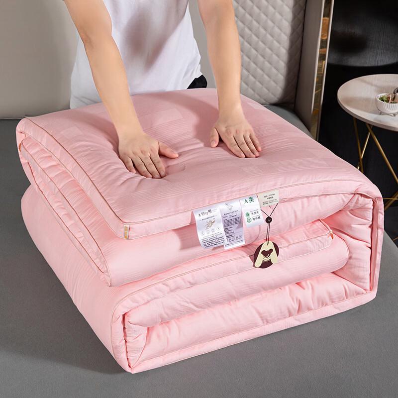 Brangdy Thickened Soy Fiber Winter Duvet