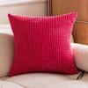 Corn Luxury Minimalist Woven Kernel Throw Pillow Cover For Sofa Bed Or Car No Insert