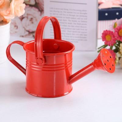 1Pc Mini Sprinkler Home Garten Indoor Vintage Blume Metall Bewässerung Eisen Pott