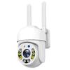 8MP Graffiti Outdoor WiFi Camera with Dual Light Night Vision - TUYA Compatible High-Demand Model
