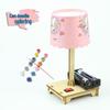 DIY Science Table Lamp Kit for Elementary Students - Handmade Physics Experiment Teaching Aid