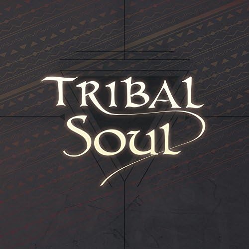 

CD TRIBAL SOUL - TRIBAL SOUL NF004 Japan ObiJapanese Pop/Rock Used