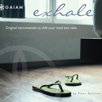 

CD PETER DAVISON - Exhale WRC610022 Gaiam Japan ObiDance & Electronica Used