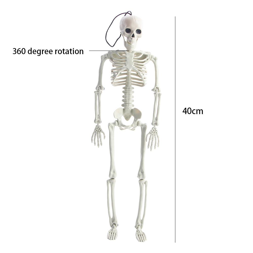 Doplňky Ozdoby Přívěsek na zpětné zrcátko do auta Model kostry Lidské kosti Halloweenské rekvizity