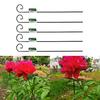 5Pcs Plant Stake Not-Easy-to Bend Anti-rust Smooth Finish Burrs-free Not Harmful To Plants Floral Arrangements No