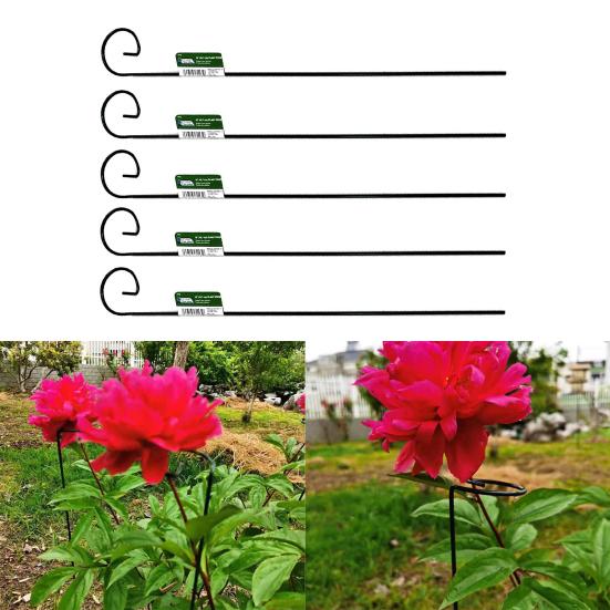 5Pcs Plant Stake Not-Easy-to Bend Anti-rust Smooth Finish Burrs-free Not Harmful To Plants Floral Arrangements No